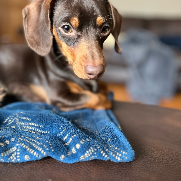 Meet your Posher, Kati - Picture 7 of 9